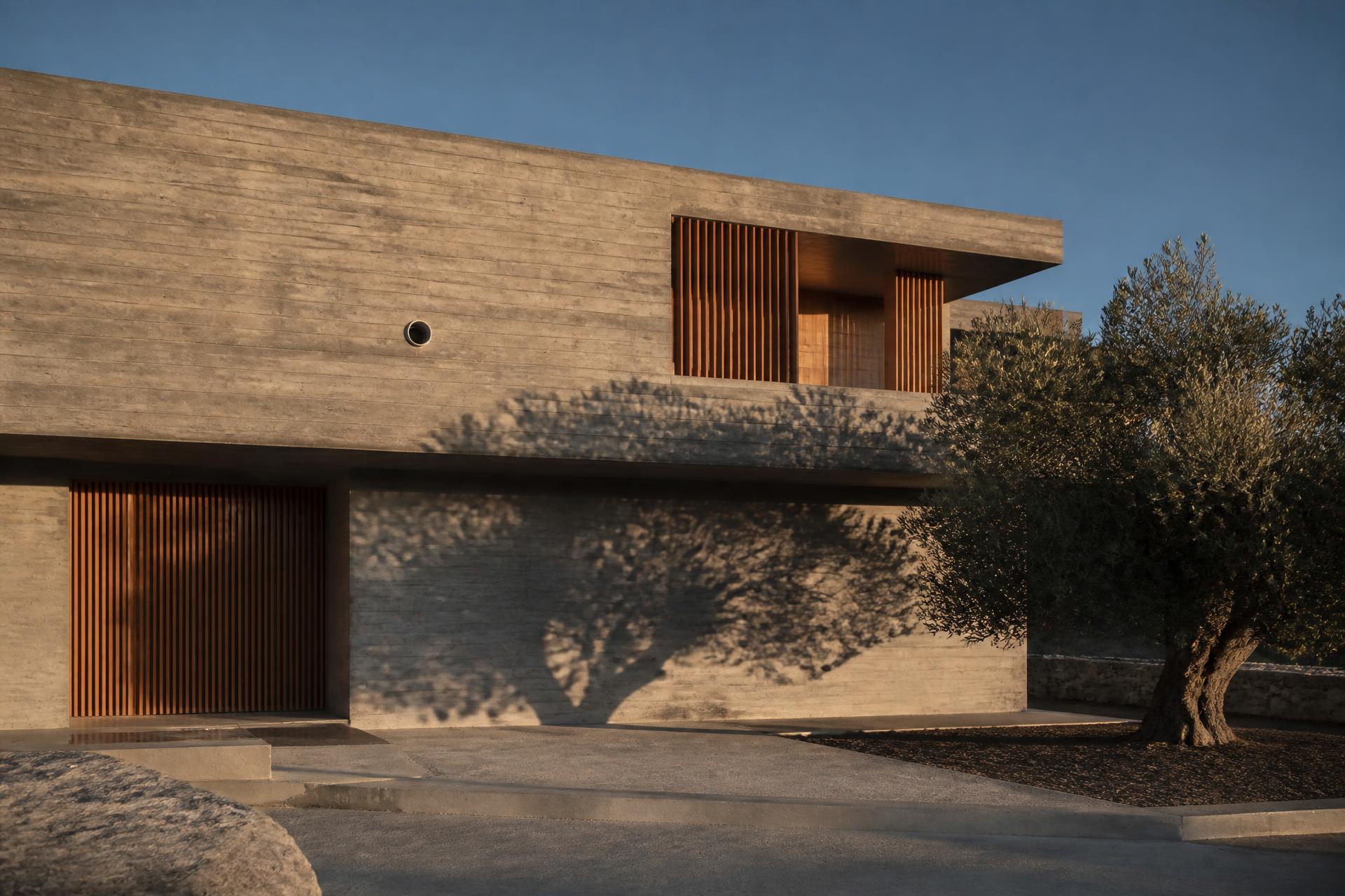 Residência contemporânea em betão aparente e madeira, com sombras de oliveira sobre reboco